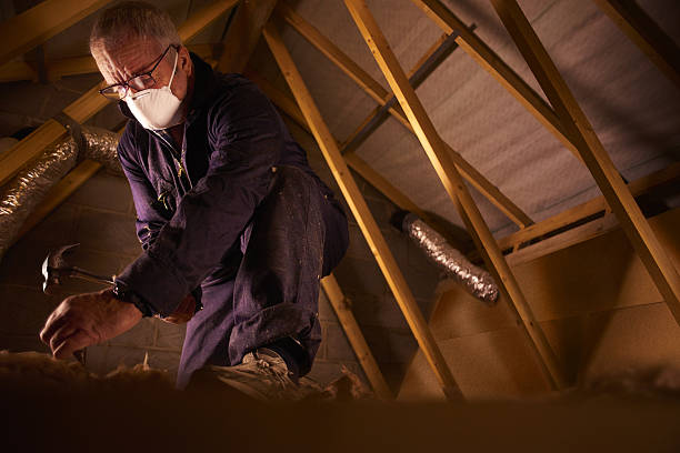 Best Insulation Materials and Products in Alpine, CA